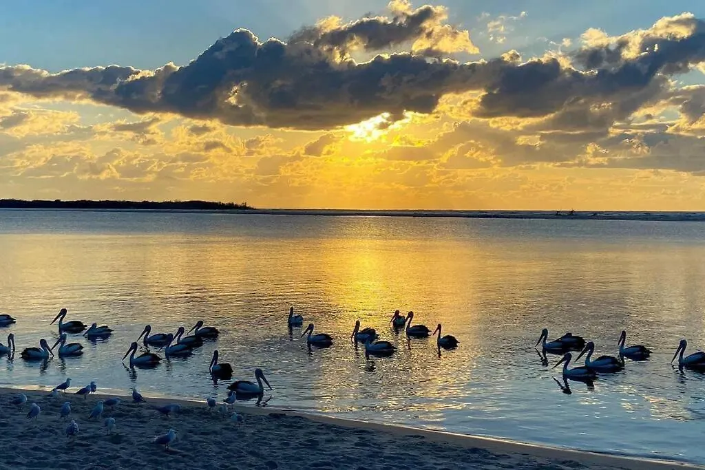 Caloundra'S Golden Beach Retreat